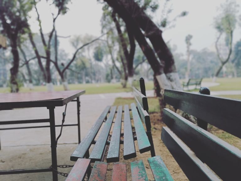 Unleashing the Explorer Within: The Joys of Outdoor Adventures